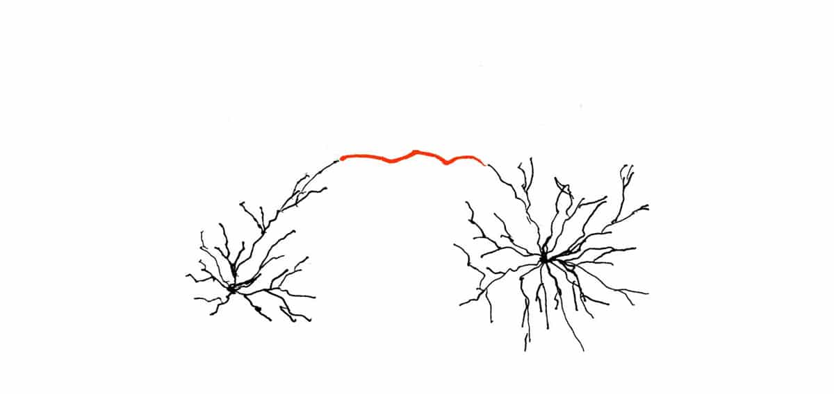 Zwangsgedanken loswerden – rot: synaptisch nur ein einziges Muster stark vernetzt (stark vereinfachte Darstellung)